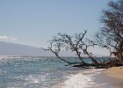Hawaii